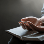 Editora Vento Sul
