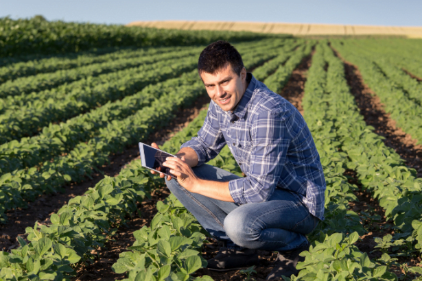 Agenor Vicente Pelissa