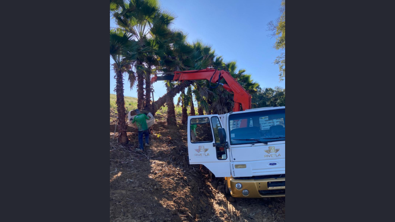 Estruturas metálicas na arquitetura: Altevir Seidel destaca como elas trazem agilidade, durabilidade e versatilidade aos projetos.