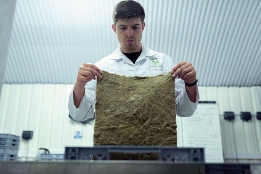 Cientista examina um material biodegradável em um laboratório de pesquisa e inovação sustentável.